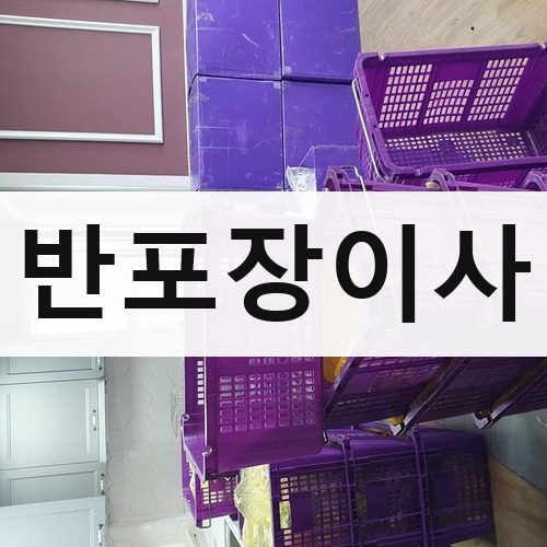 경기 반포장이사 포장이사