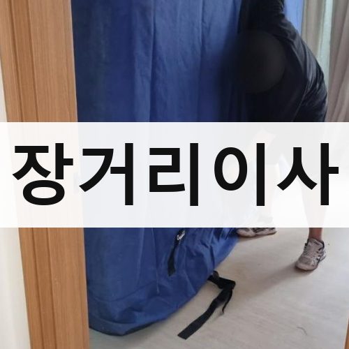 경기 장거리이사 보관이사