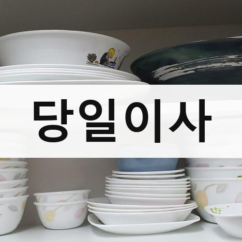 부천시 당일이사 포장이사